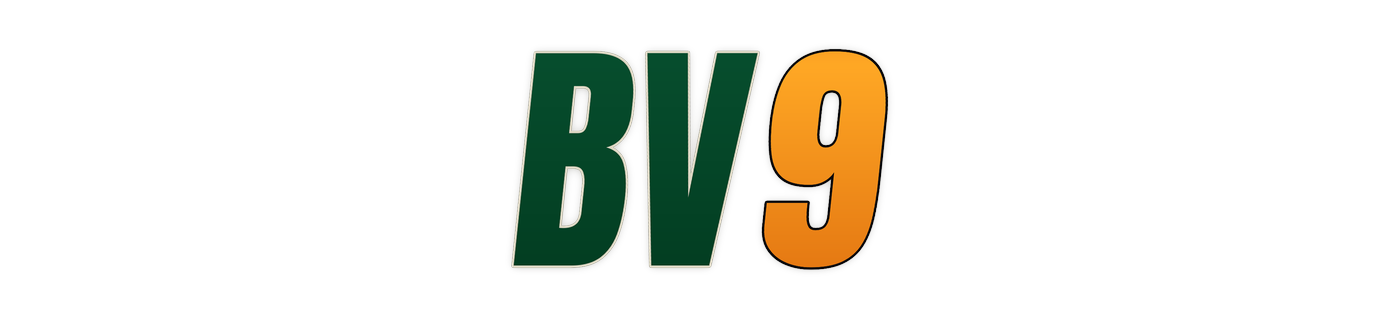 bv9 Logo